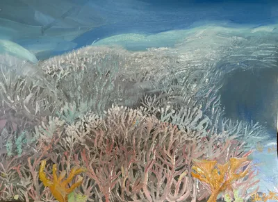 Corals under Water Original