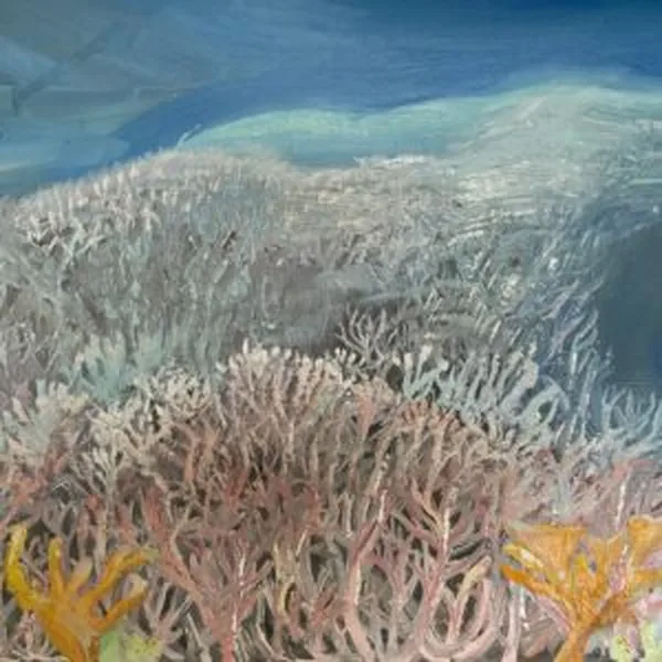 Corals under Water