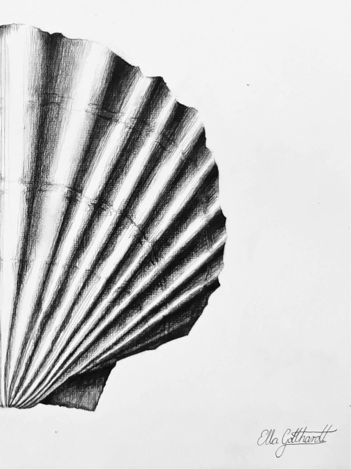 Hyperrealistische-Graphit-Zeichnung-nach-auftrag – Ella Gotthardt